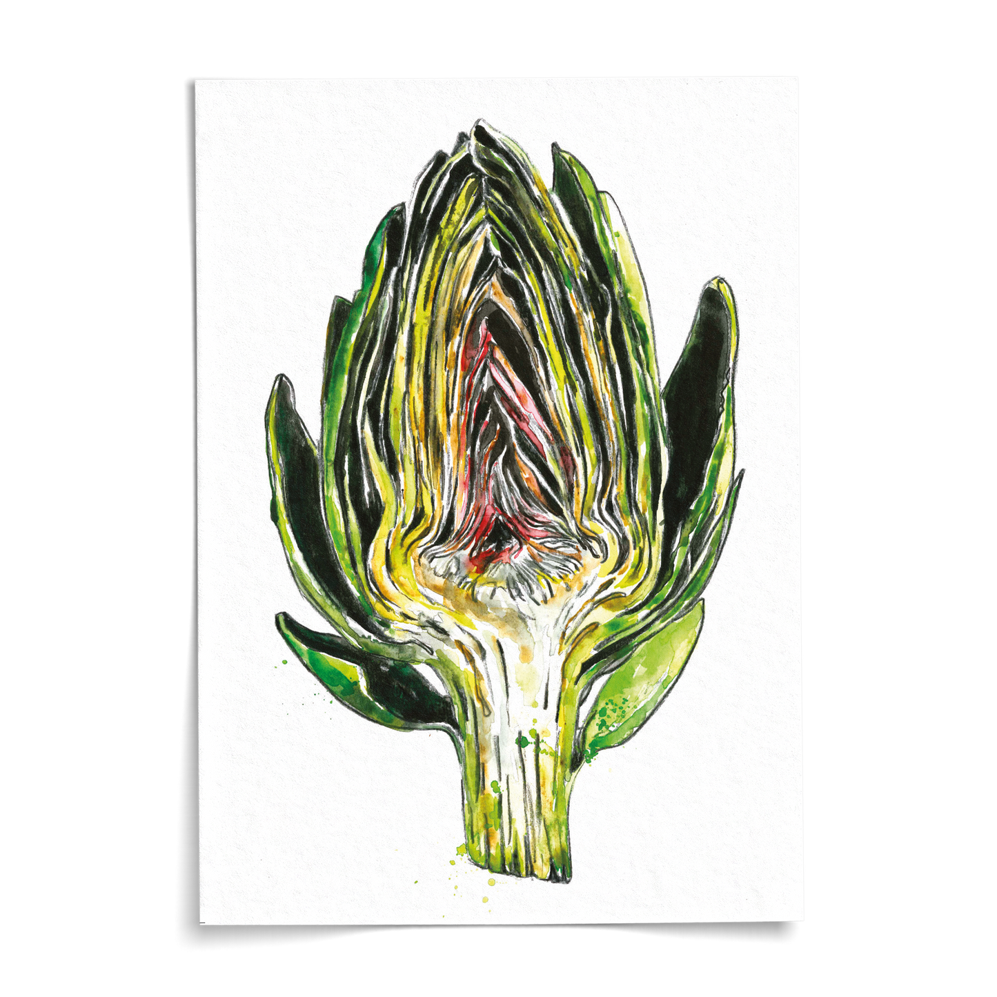 Card A6 - Artichoke