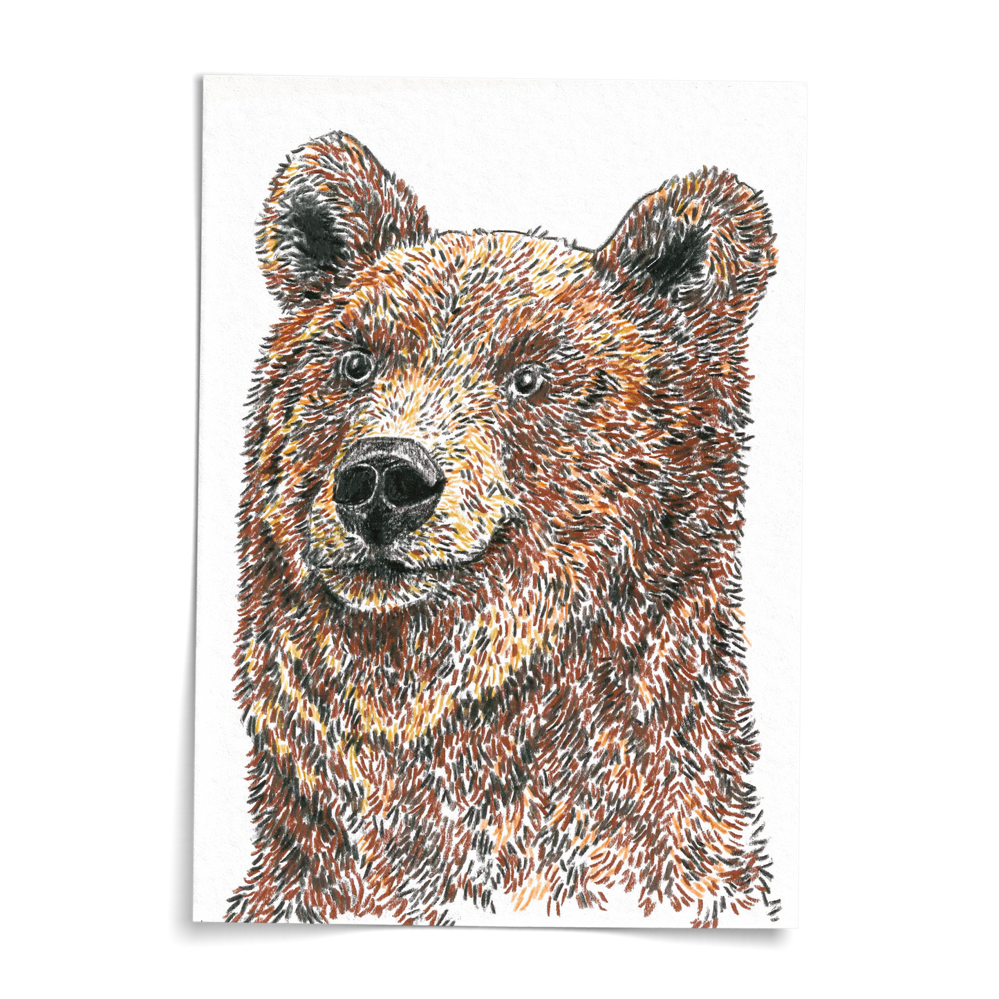 Card A6 - Bear