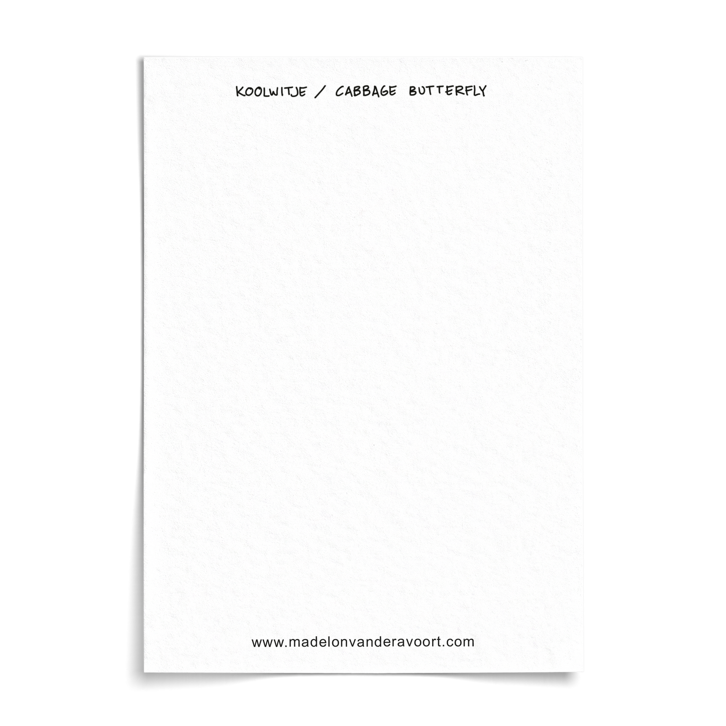 Card A6 - Cabbage White