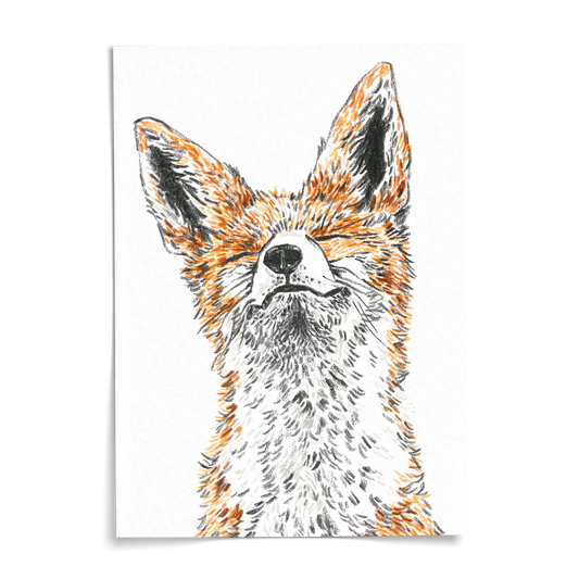 Card A6 - Fox
