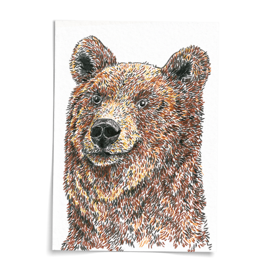 Card A6 - Bear