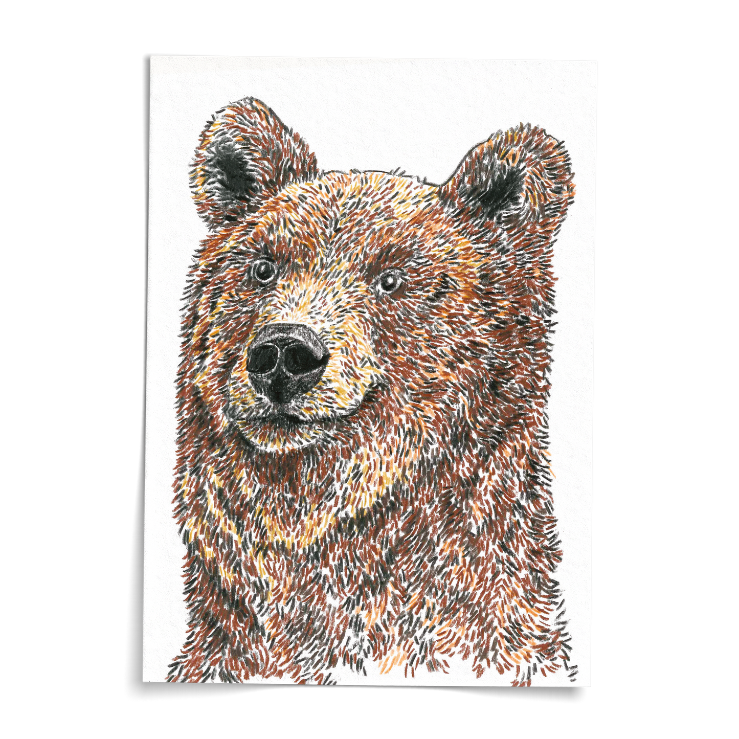 Print A4 - Bear