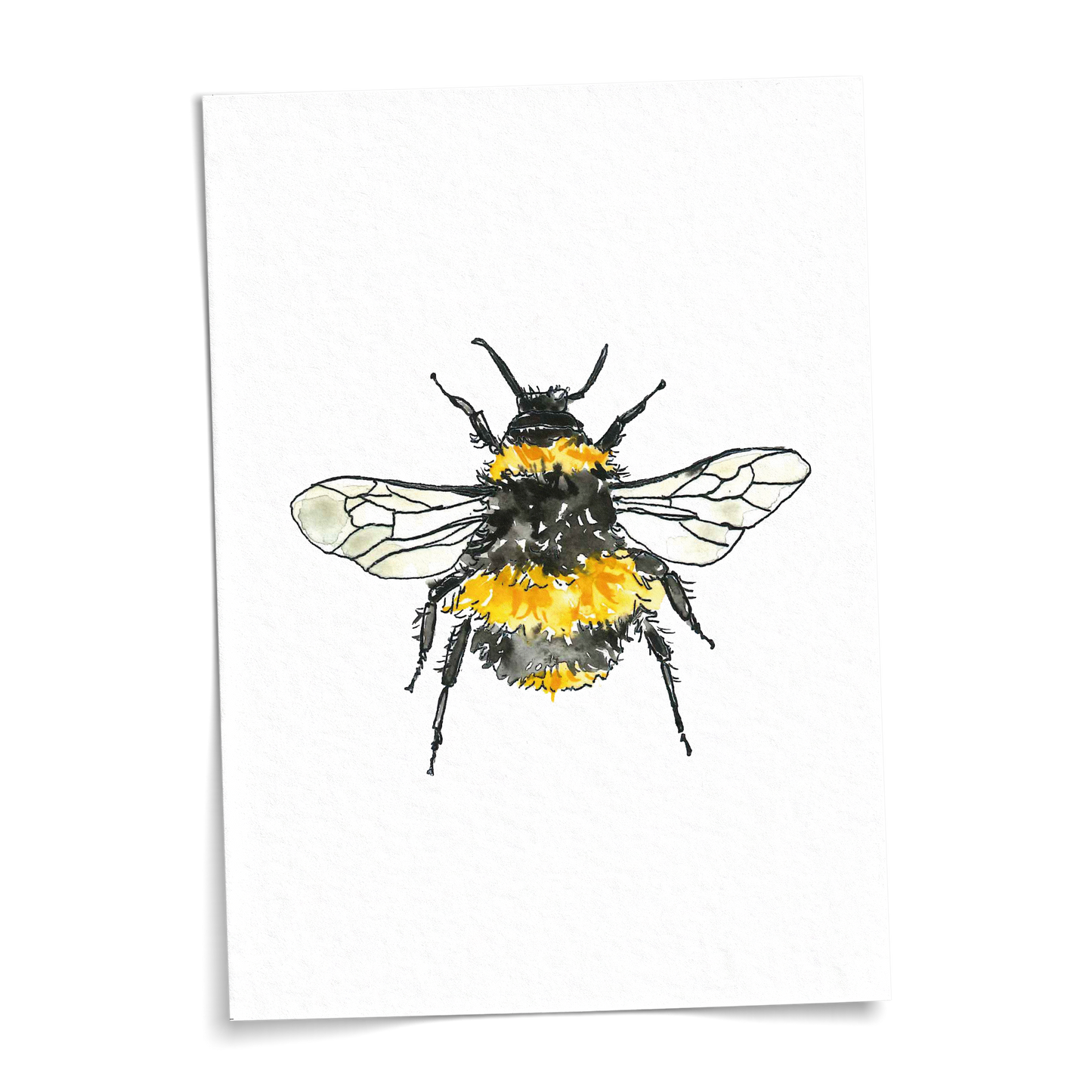 Card A6 - Bumblebee