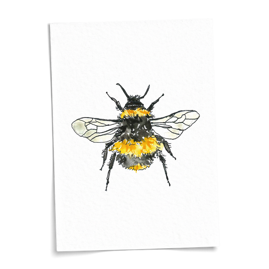 Card A6 - Bumblebee